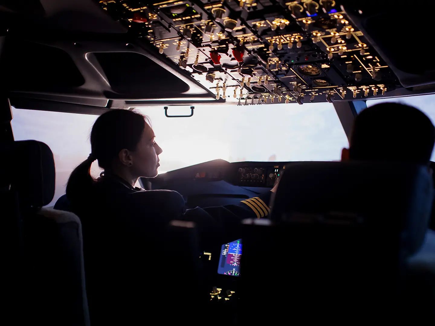 AirLine Pilot Banner Image