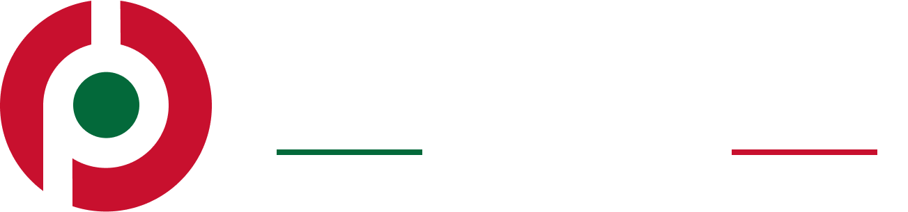 Professional Aviation Academy